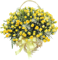 :  15940c0b70b49391c702b12fef1a0617.gif
: 83
:  50,3 
