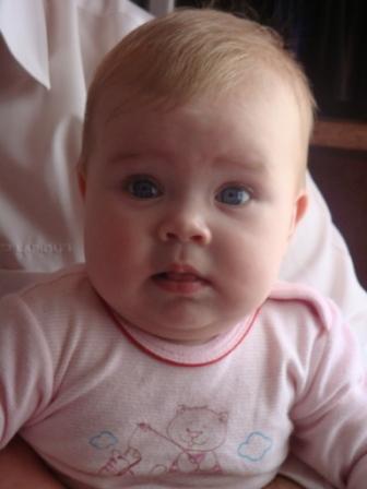 :  DSC01663.JPG
: 77
:  25,0 