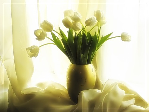 :  0_20848_e963108e_L.jpg
: 42
:  33,1 