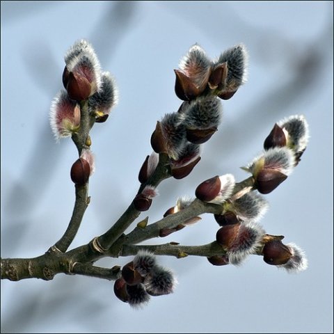 :  x_aa63eb58.jpg
: 47
:  39,7 