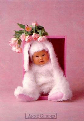 :  p228.jpg
: 58
:  17,6 