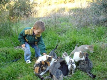 :   228.jpg
: 178
:  45,0 