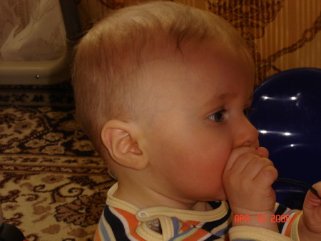 :  - 16.04.06 003-1.jpg
: 56
:  48,3 