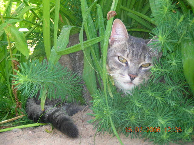 :  DSCN5989.jpg
: 170
:  64,5 