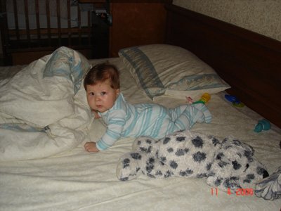 :  934c7f9a73a0.jpg
: 47
:  23,6 