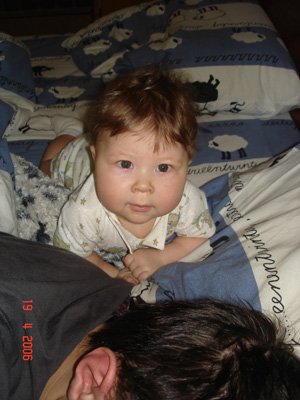 :  e47568cafd72.jpg
: 43
:  26,9 