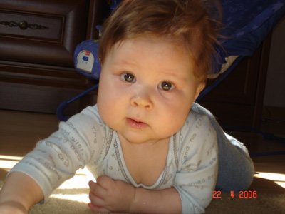 :  604fc018b9f5.jpg
: 43
:  20,3 