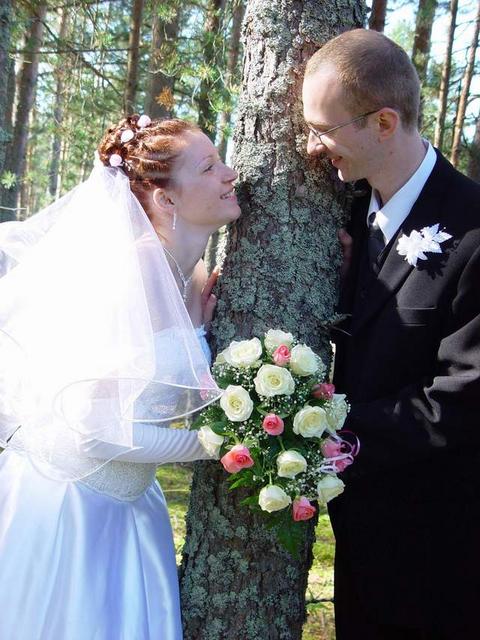 :  .jpg
: 1831
:  61,6 