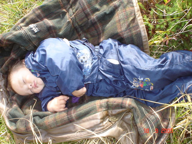 :  DSC00321.jpg
: 336
:  78,1 