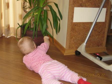 :  _4.JPG
: 64
:  25,7 