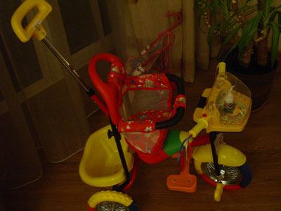 :  .jpg
: 81
:  25,7 