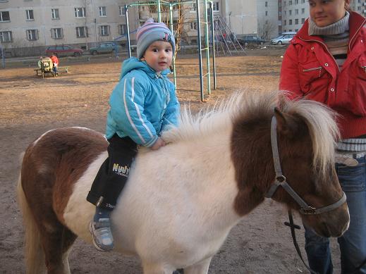 :  IMG_1161.jpg
: 50
:  45,7 