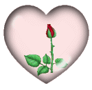 :  75c8d27c3da48e3278246071978edd25.gif
: 70
:  25,5 