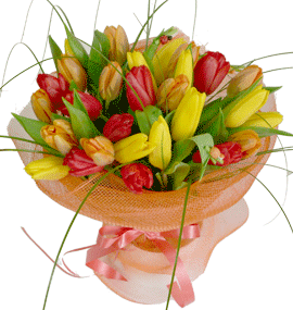 :  2394364-2310916-11054Big.gif
: 5808
:  39,9 