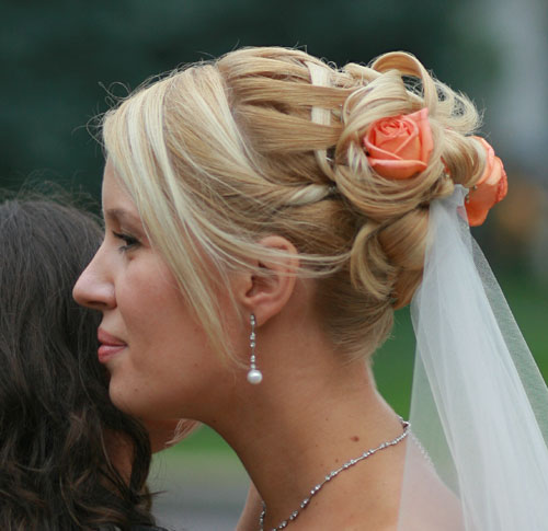 :  .jpg
: 11029
:  48,7 