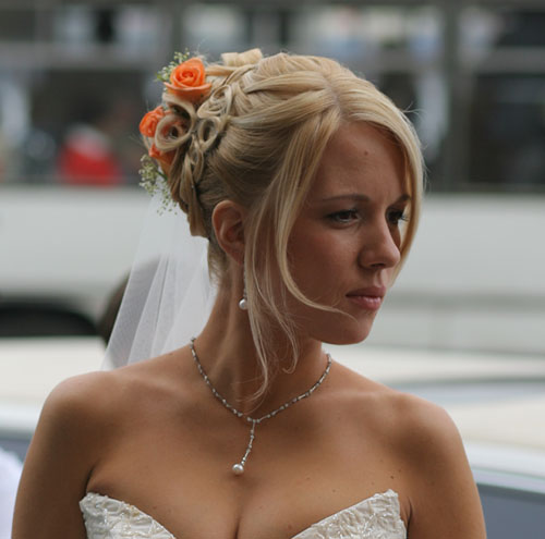 :  2.jpg
: 10384
:  40,3 