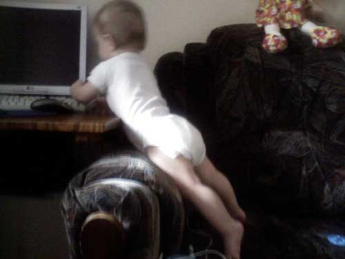 :  .jpg
: 65
:  12,0 