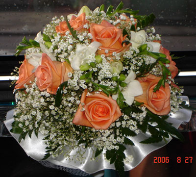 :  .jpg
: 6068
:  58,0 