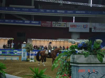 :   4.jpg
: 35
:  53,8 