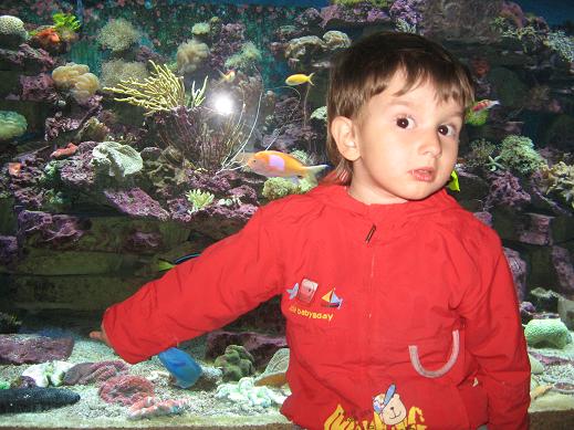 :   213.jpg
: 60
:  57,8 