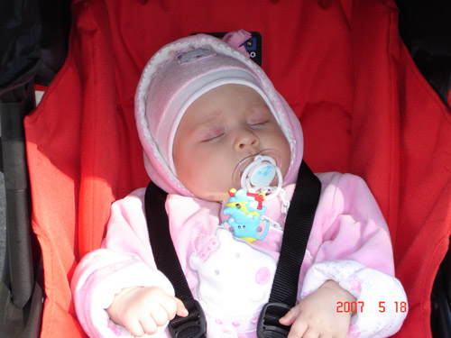 :  3.jpg
: 68
:  57,1 