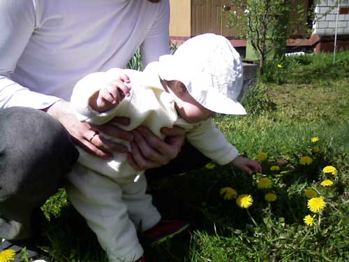 :  --.jpg
: 61
:  27,2 