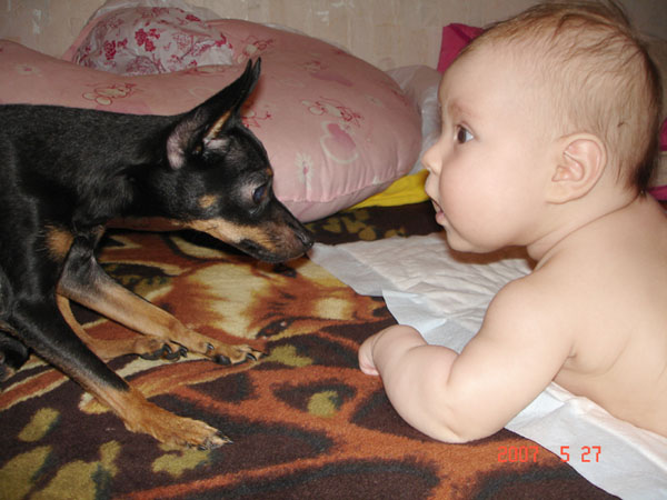 :  4.jpg
: 91
:  63,1 