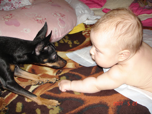 :  5.jpg
: 89
:  57,8 