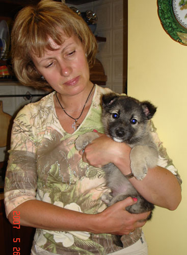 :  DSC01955.JPG
: 89
:  49,2 