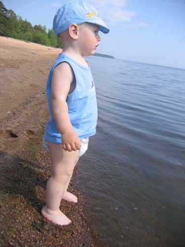 :  IMG_2794.jpg
: 45
:  48,5 