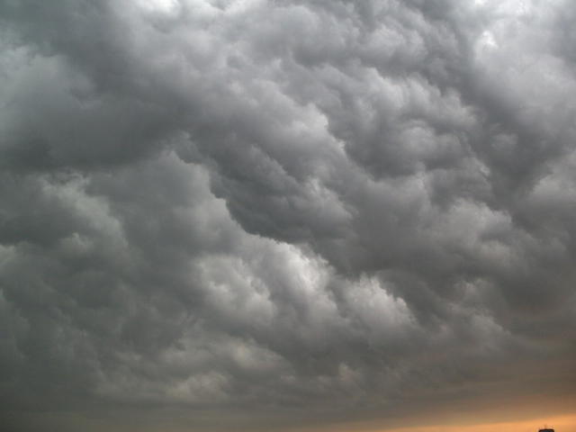 :  IMGP1890rez.jpg
: 47
:  18,0 