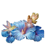 :  60c6c126928de118f7e7e1c22af6685f.gif
: 80
:  16,6 