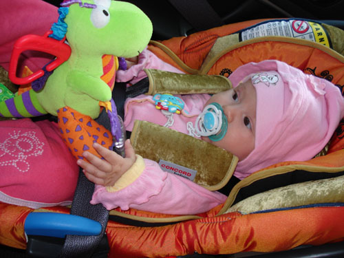 :  .jpg
: 83
:  60,8 