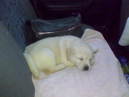 :  .jpg
: 80
:  18,6 