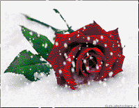 :  041b77105b3be1736fcdf4b9925de23b.gif
: 62
:  40,9 