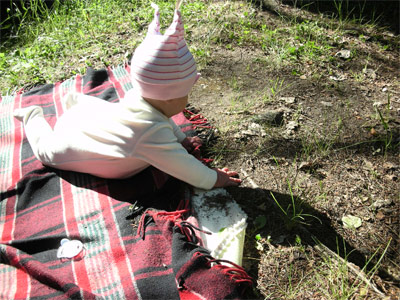 :  DSCN1021.jpg
: 40
:  63,3 