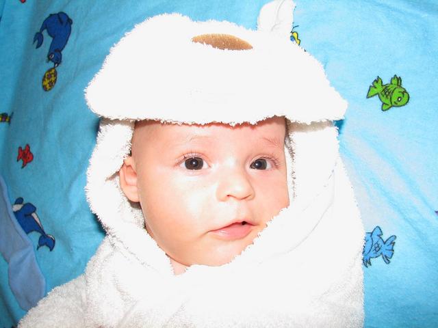 :   880s.jpg
: 98
:  32,4 