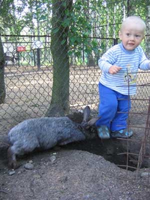 :   038.jpg
: 59
:  57,4 