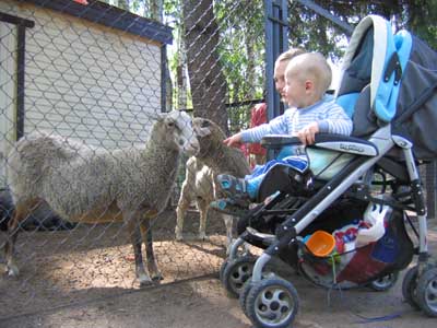 :   013.jpg
: 54
:  57,8 