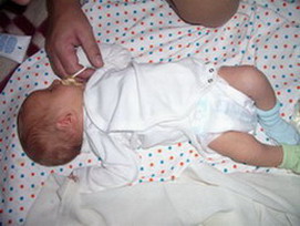 :  IMGP9387-2.jpg
: 100
:  63,2 