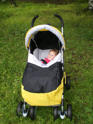 :  -1.jpg
: 41
:  41,2 