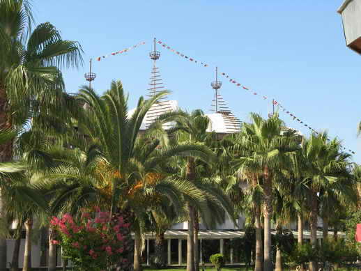 :   .jpg
: 2341
:  43,5 