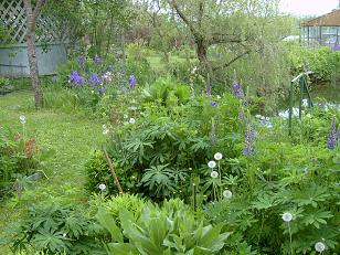 :  3.jpg
: 2078
:  29,2 