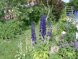 :  qq.jpg
: 2068
:  39,1 