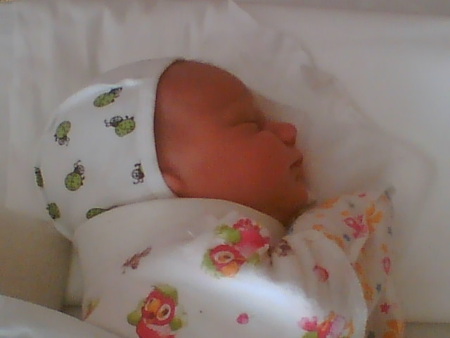 :  001.jpg
: 106
:  49,6 