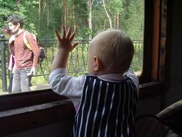 :    IMGP7429.JPG
: 60
:  60,2 