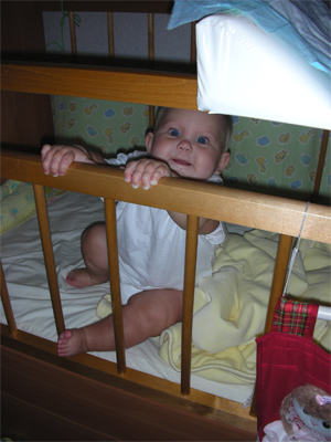 :  DSCN1361.jpg
: 39
:  56,1 