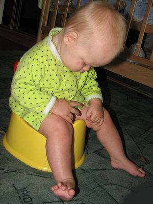 :    .jpg
: 33
:  33,6 