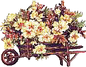 :  9cad207a5d902d85040fcf77a8a4caa3.gif
: 1516
:  24,4 