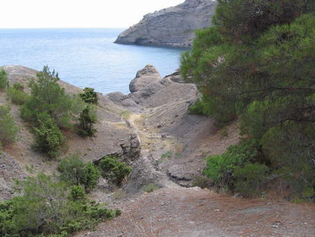 :  9.jpg
: 109
:  41,3 